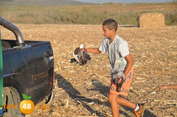 7amam lud monir 908 (53).JPG